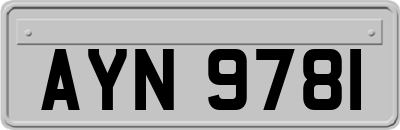 AYN9781