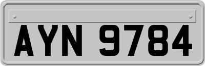 AYN9784