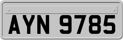 AYN9785