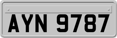 AYN9787