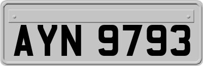 AYN9793