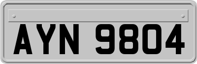 AYN9804