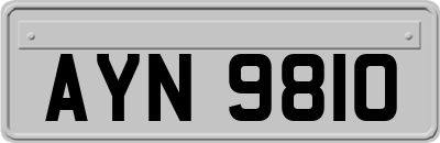 AYN9810