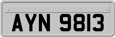AYN9813