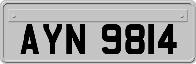 AYN9814