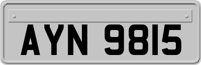 AYN9815