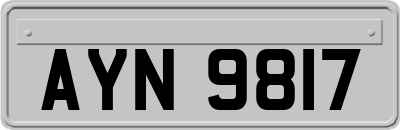AYN9817