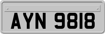 AYN9818