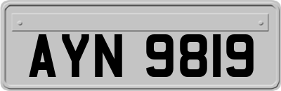 AYN9819