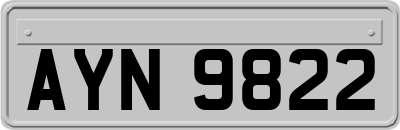 AYN9822