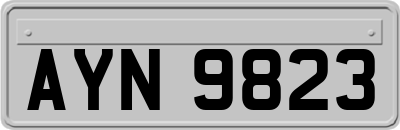 AYN9823