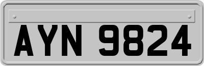 AYN9824