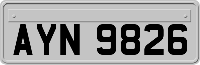AYN9826