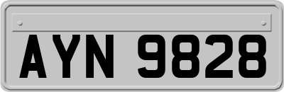AYN9828