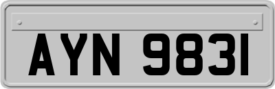 AYN9831