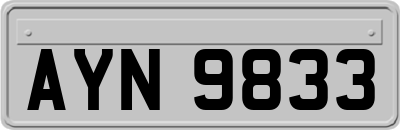 AYN9833