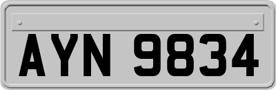 AYN9834