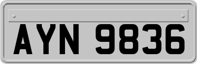 AYN9836