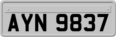 AYN9837