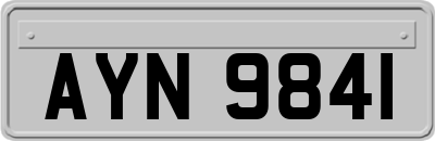AYN9841
