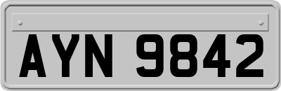 AYN9842