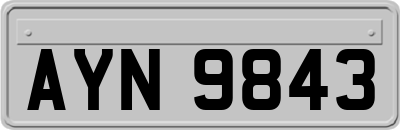 AYN9843