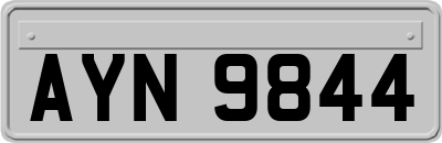 AYN9844