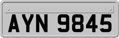 AYN9845