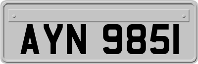AYN9851