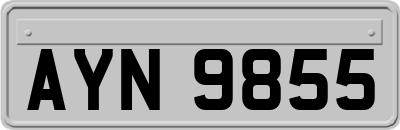 AYN9855
