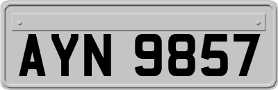 AYN9857