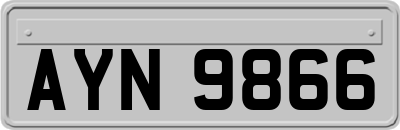 AYN9866