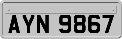 AYN9867