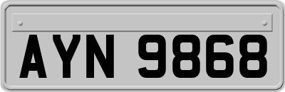 AYN9868