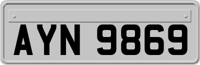 AYN9869