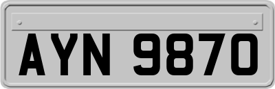AYN9870