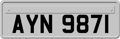 AYN9871