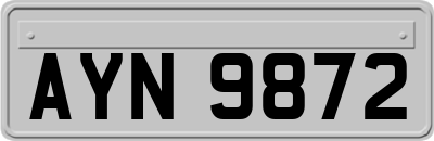 AYN9872