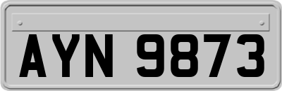 AYN9873