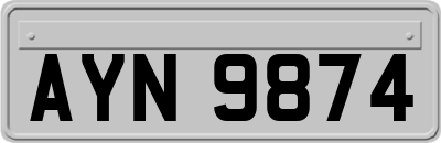 AYN9874