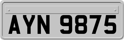 AYN9875