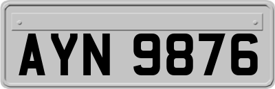 AYN9876
