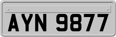 AYN9877