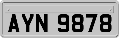 AYN9878