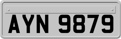 AYN9879