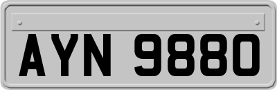 AYN9880