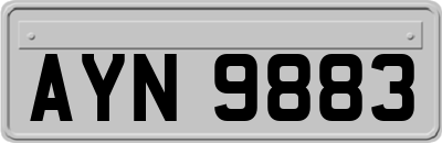 AYN9883