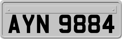 AYN9884