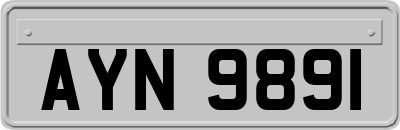 AYN9891