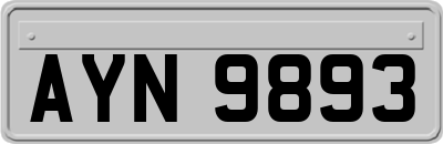 AYN9893